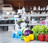 是求职招聘、上岗就业、职称评定、创业