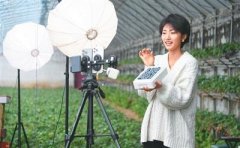 <b>不得混合通俗食物、特殊食物、药品；市场监管</b>